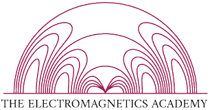 Electromagnetic Academy Fellow